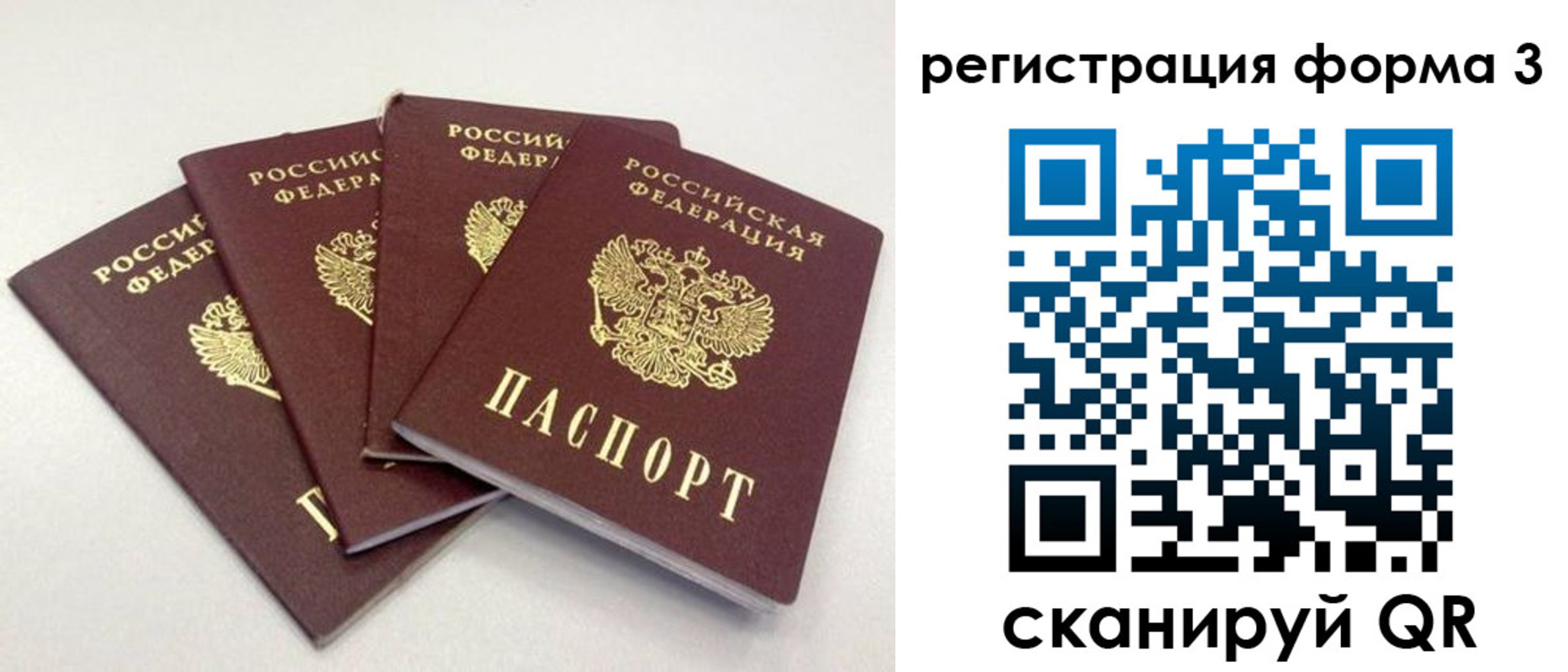 прописка 2025 в Златоусте